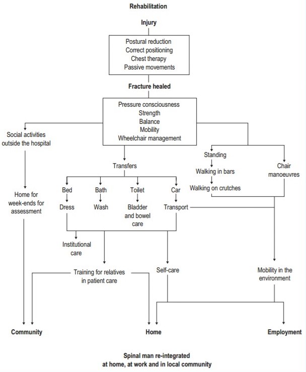 SCI Rehab