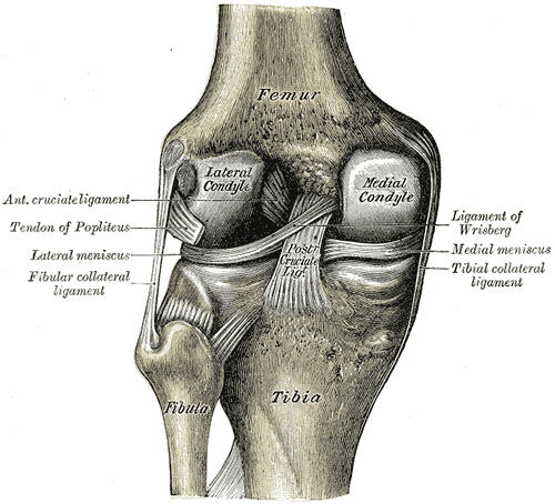 ACL INJURY