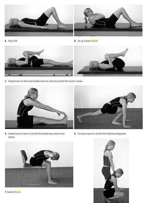 seated knee flexion