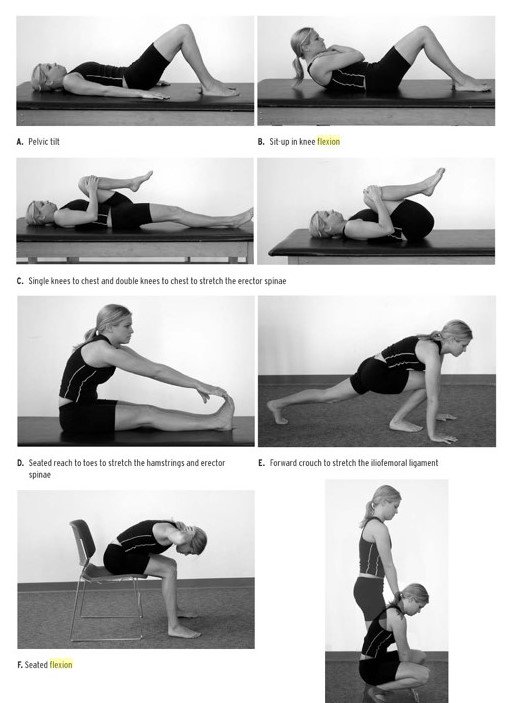 Williams flexion exercises